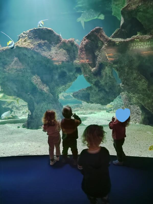 Sortie à l'aquarium